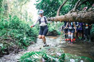 BIB: 
                            <button type="button" onclick="openModal(25468029)" class="btn btn-primary btn-sm float-right btn-popup" data-toggle="modal" data-target=".modal-high-quality">
                        <i class="fas fa-shopping-cart"></i> Add to Cart
                    </button>
                                            <button type="button" onclick="isThisMe(25468029, true)" class="btn btn-success btn-sm float-right btn-popup btn-isme hidden" data-toggle="tooltip" data-placement="bottom" title="นี่คือรูปของคุณใช่ไหม คลิกที่นี่เพื่อเอาเข้าอัลบั้ม">
                        <i class="fas fa-plus"></i> Add to album
                    </button>
                    <button type="button" onclick="isThisMe(25468029, false)" class="btn btn-warning btn-sm float-right btn-popup btn-isnotme hidden">
                        <i class="fas fa-ban"></i> Remove from album
                    </button>